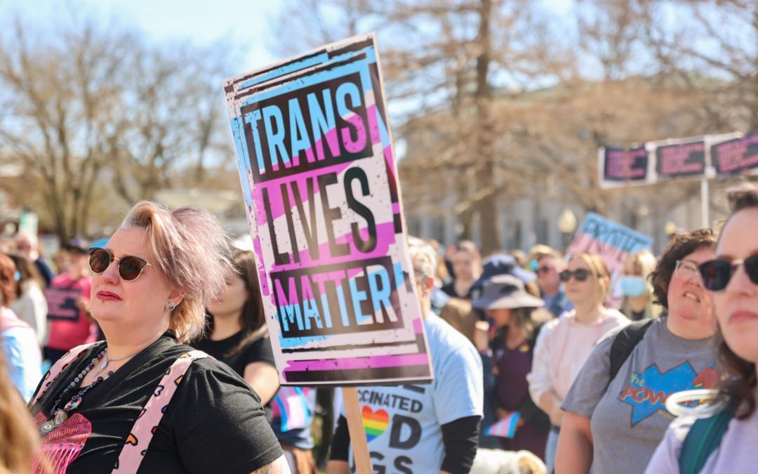 A sign that says "Trans Lives Matter" is held in the air at a protest in Jefferson City for trans rights.
